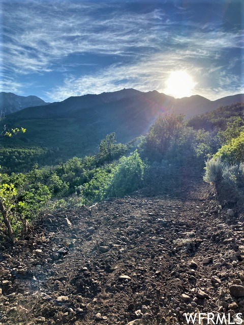 11 E SPRING MOUNTAIN DR Springville, UT 84663