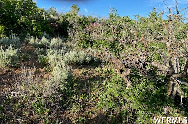 11 E SPRING MOUNTAIN DR Springville, UT 84663