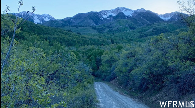 13 N HAPPY HOLLOW DR Springville, UT 84663