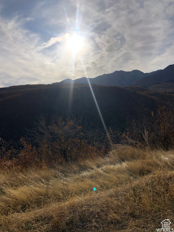 13 N HAPPY HOLLOW DR Springville, UT 84663