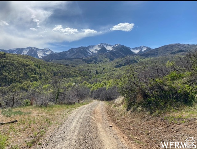 13 N HAPPY HOLLOW DR Springville, UT 84663