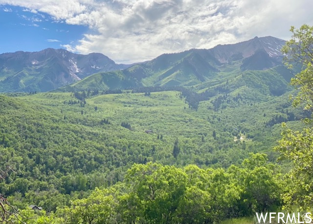 13 N HAPPY HOLLOW DR Springville, UT 84663