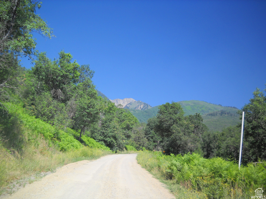 13 N HAPPY HOLLOW DR Springville, UT 84663