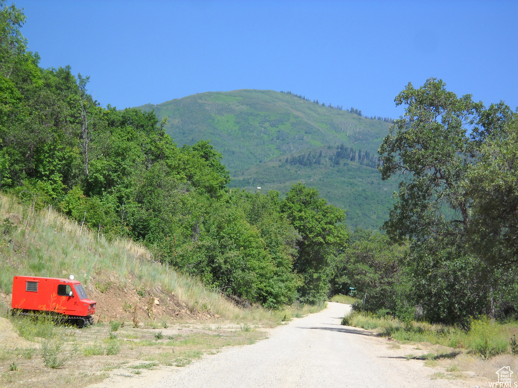 13 N HAPPY HOLLOW DR Springville, UT 84663