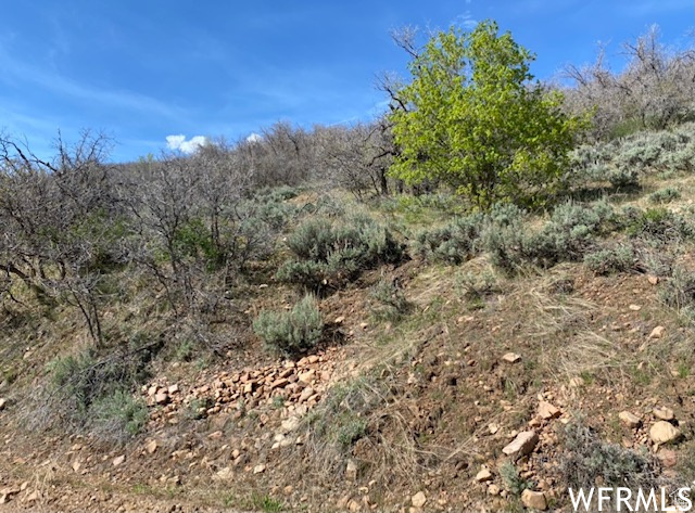13 N HAPPY HOLLOW DR Springville, UT 84663