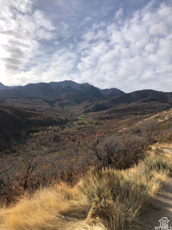 13 N HAPPY HOLLOW DR Springville, UT 84663