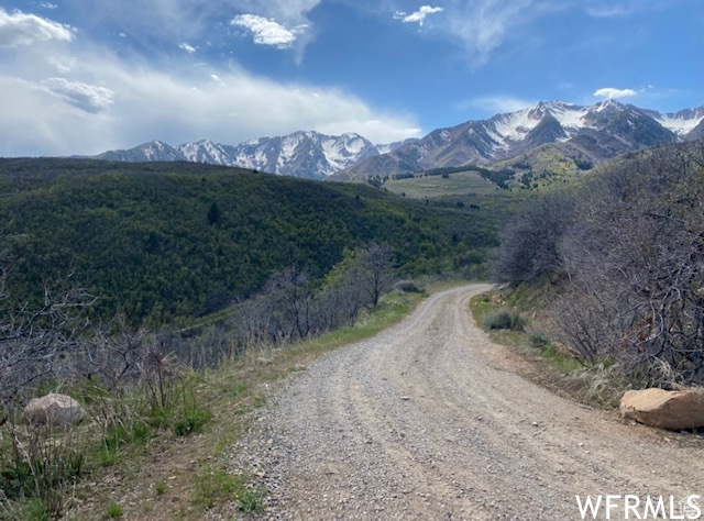 13 N HAPPY HOLLOW DR Springville, UT 84663