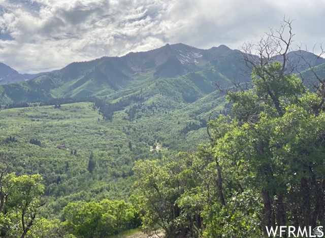 13 N HAPPY HOLLOW DR Springville, UT 84663