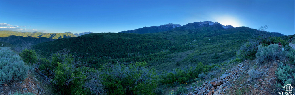 13 N HAPPY HOLLOW DR Springville, UT 84663