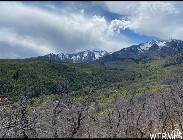 13 N HAPPY HOLLOW DR Springville, UT 84663