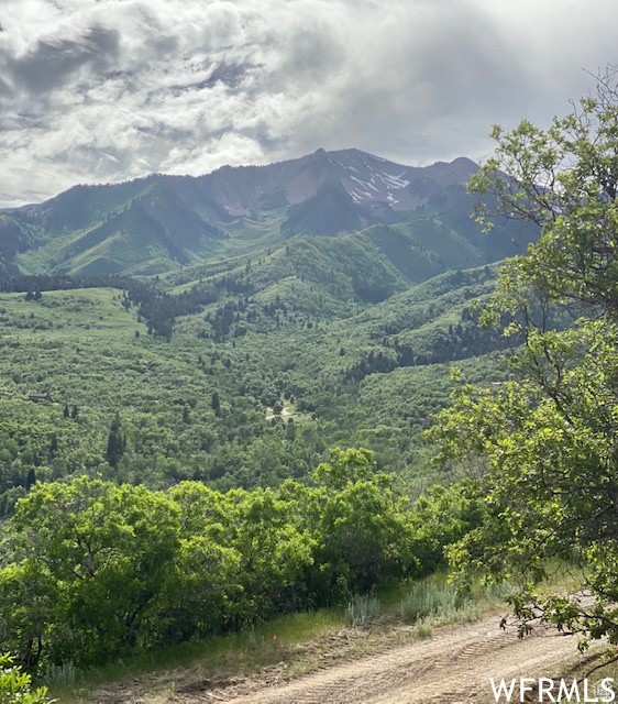 13 N HAPPY HOLLOW DR Springville, UT 84663