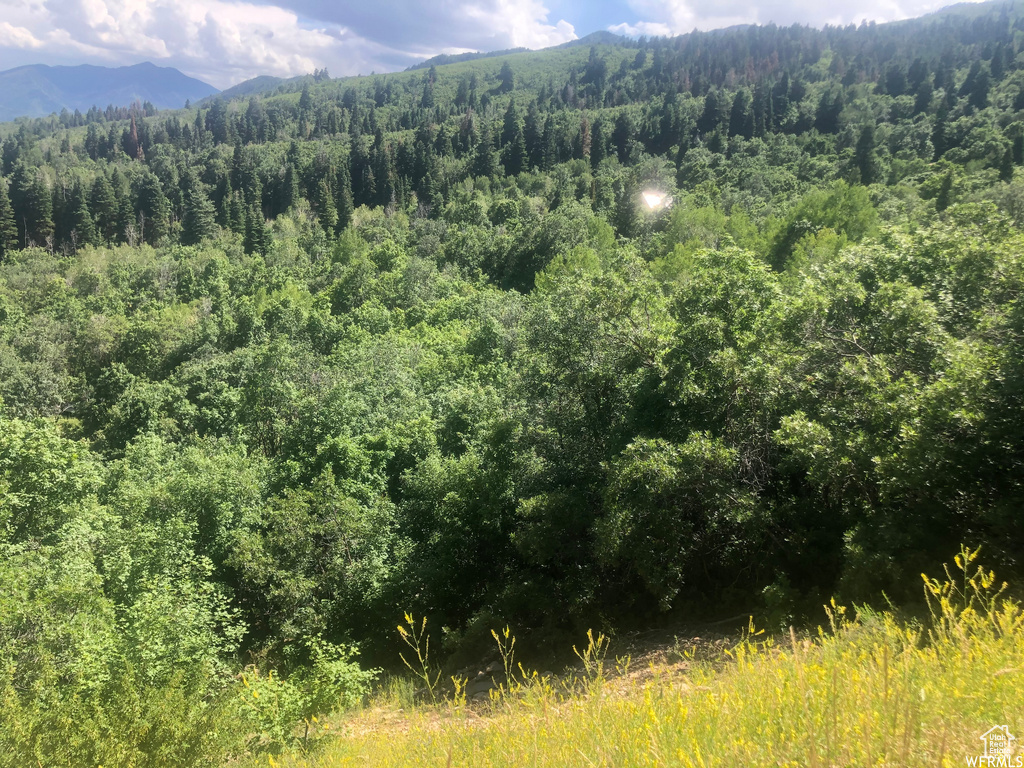 13 N HAPPY HOLLOW DR Springville, UT 84663