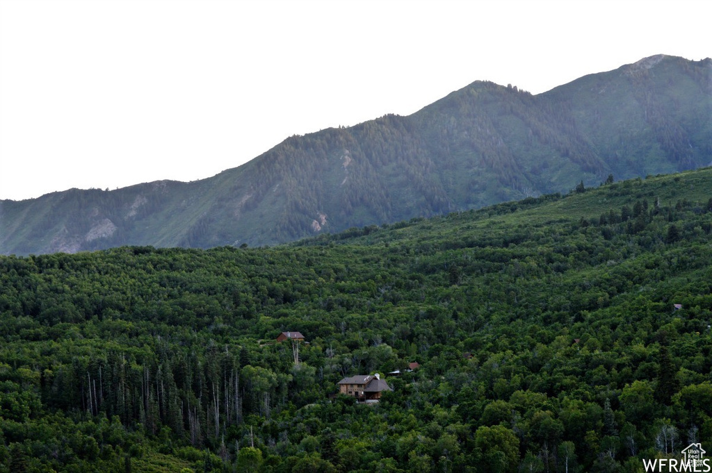 13 N HAPPY HOLLOW DR Springville, UT 84663