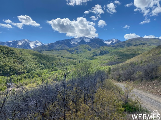 13 N HAPPY HOLLOW DR Springville, UT 84663