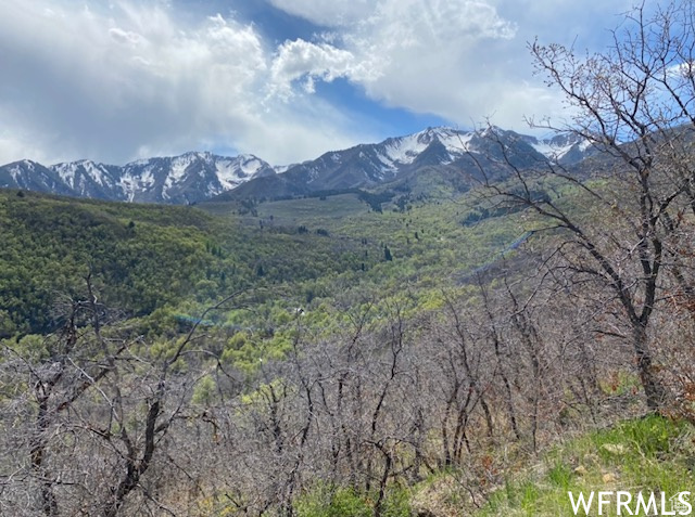 13 N HAPPY HOLLOW DR Springville, UT 84663