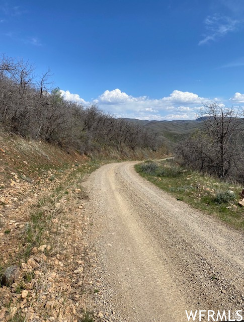 13 N HAPPY HOLLOW DR Springville, UT 84663