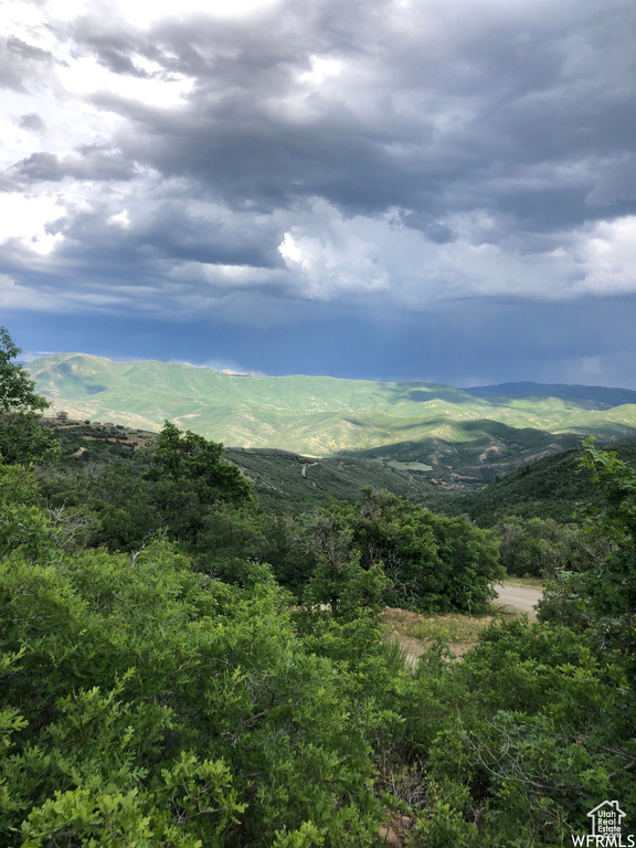 13 N HAPPY HOLLOW DR Springville, UT 84663