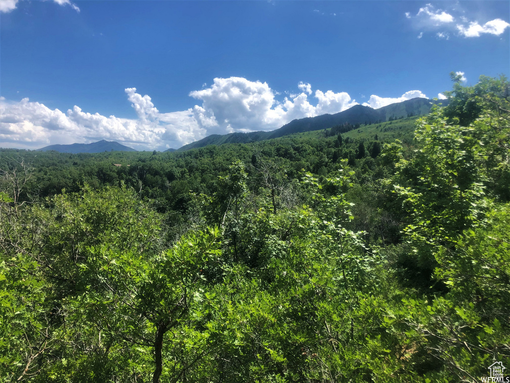 13 N HAPPY HOLLOW DR Springville, UT 84663