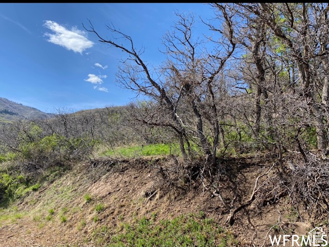13 N HAPPY HOLLOW DR Springville, UT 84663
