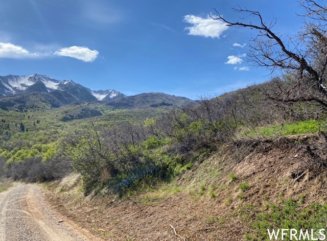 13 N HAPPY HOLLOW DR Springville, UT 84663