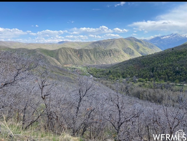 13 N HAPPY HOLLOW DR Springville, UT 84663