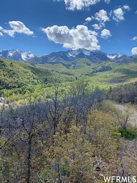 13 N HAPPY HOLLOW DR Springville, UT 84663