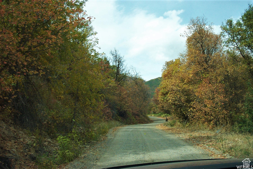 13 N HAPPY HOLLOW DR Springville, UT 84663