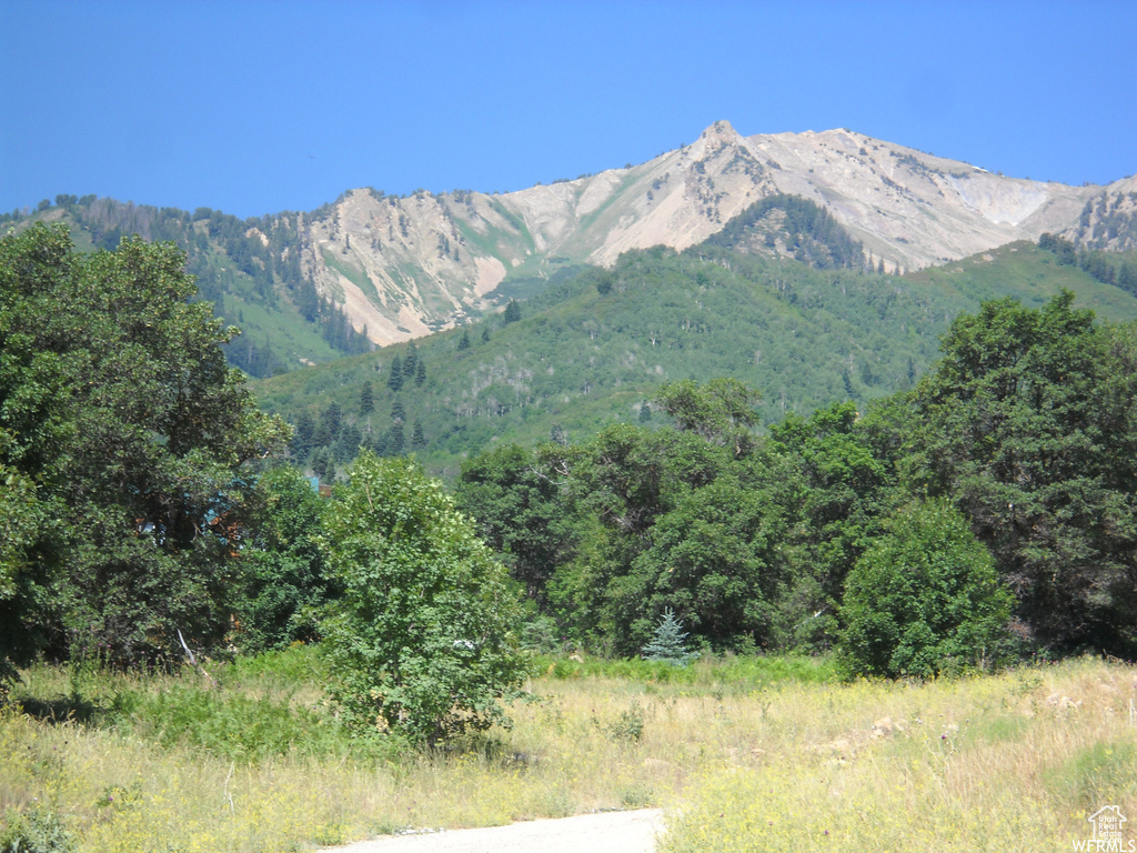 13 N HAPPY HOLLOW DR Springville, UT 84663