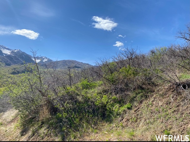13 N HAPPY HOLLOW DR Springville, UT 84663