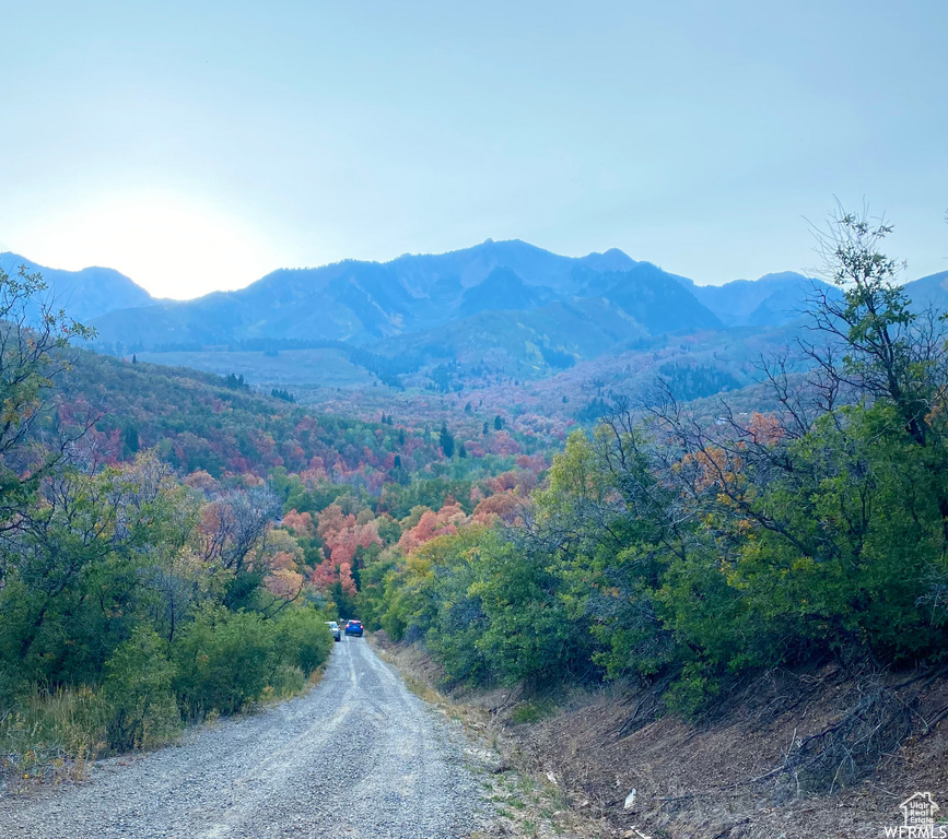 13 N HAPPY HOLLOW DR Springville, UT 84663