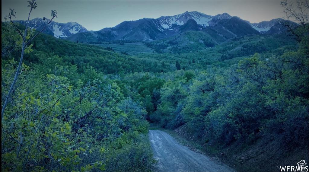 13 N HAPPY HOLLOW DR Springville, UT 84663