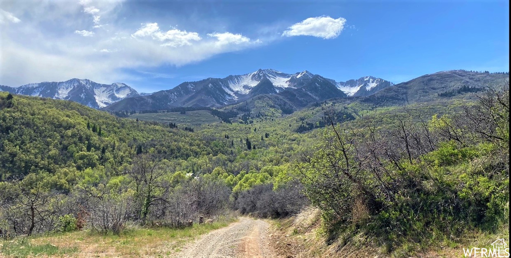 13 N HAPPY HOLLOW DR Springville, UT 84663