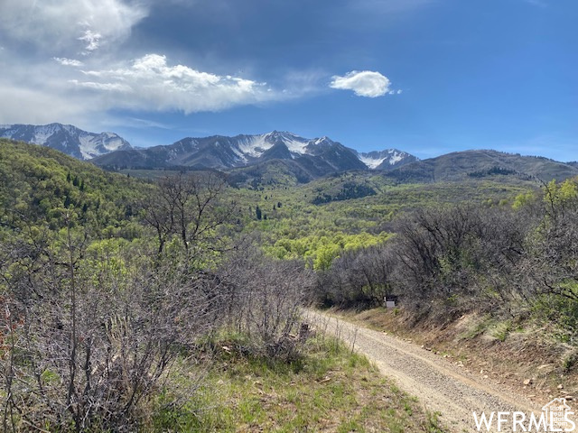 13 N HAPPY HOLLOW DR Springville, UT 84663