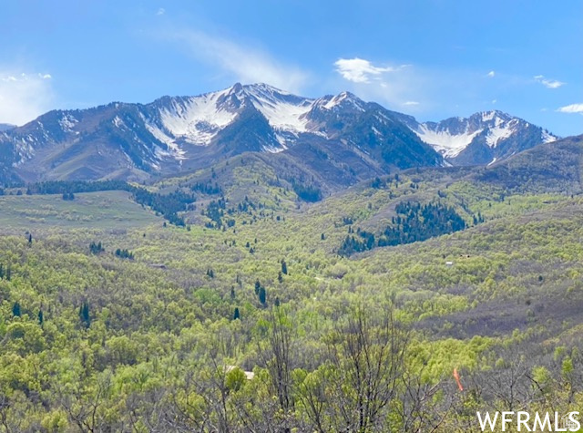 13 N HAPPY HOLLOW DR Springville, UT 84663