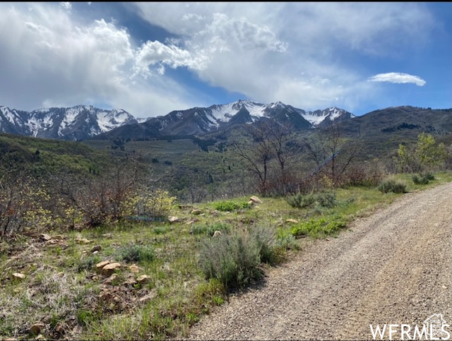 13 N HAPPY HOLLOW DR Springville, UT 84663