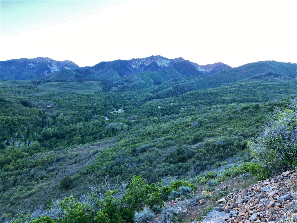 13 N HAPPY HOLLOW DR Springville, UT 84663