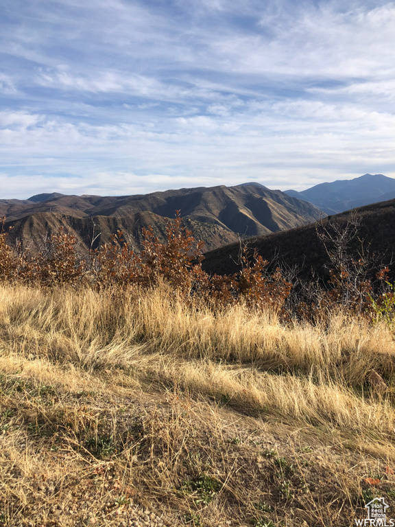 13 N HAPPY HOLLOW DR Springville, UT 84663
