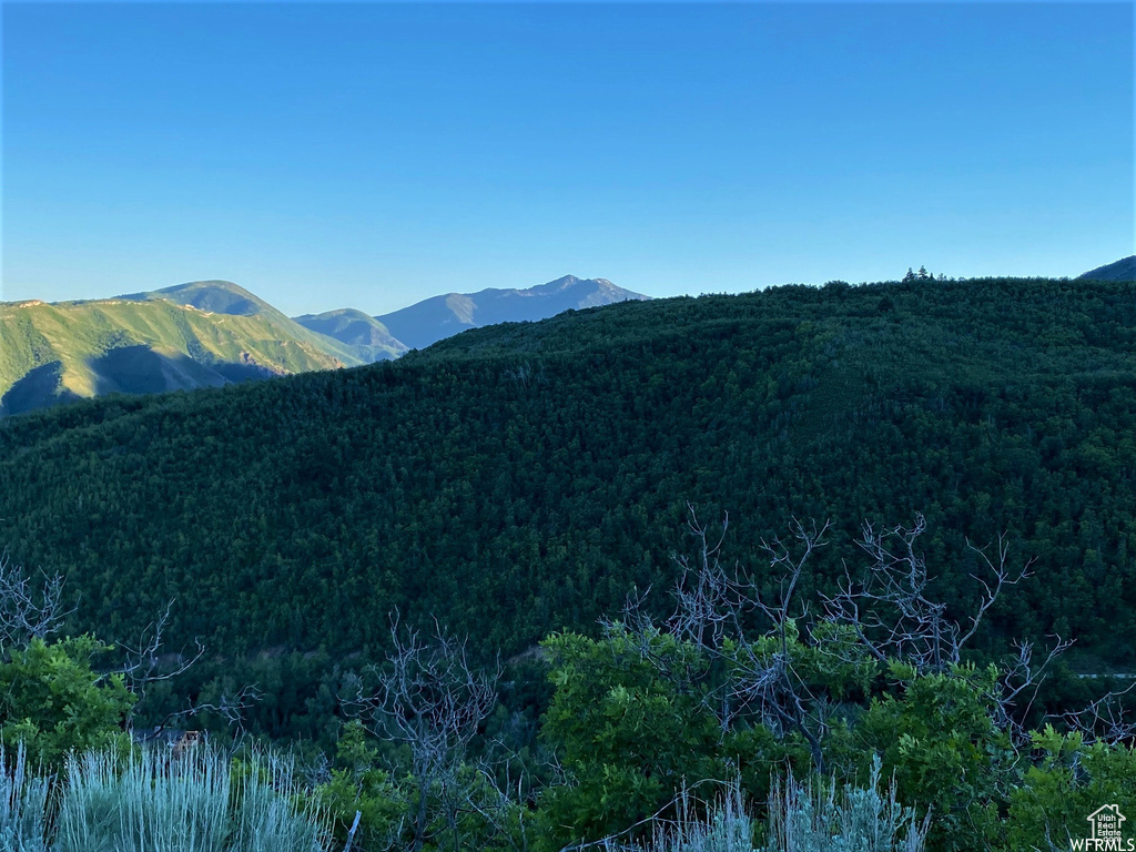 13 N HAPPY HOLLOW DR Springville, UT 84663