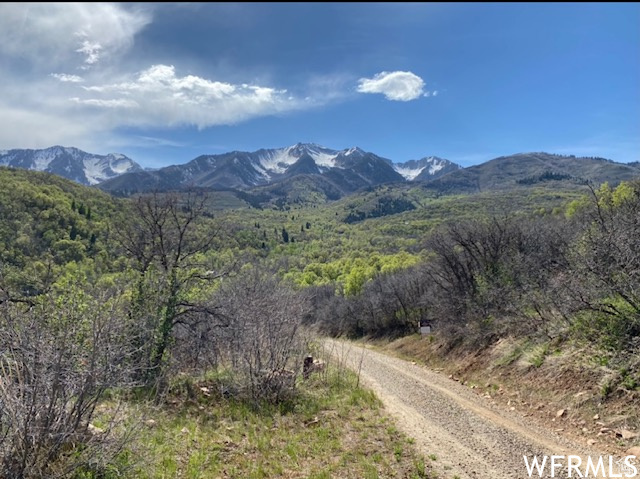 13 N HAPPY HOLLOW DR Springville, UT 84663