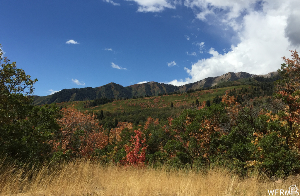 13 N HAPPY HOLLOW DR Springville, UT 84663