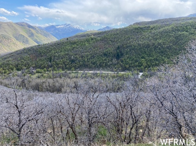 13 N HAPPY HOLLOW DR Springville, UT 84663