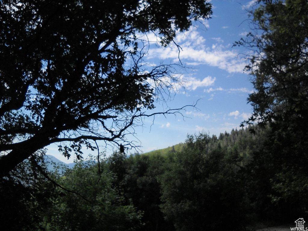 13 N HAPPY HOLLOW DR Springville, UT 84663