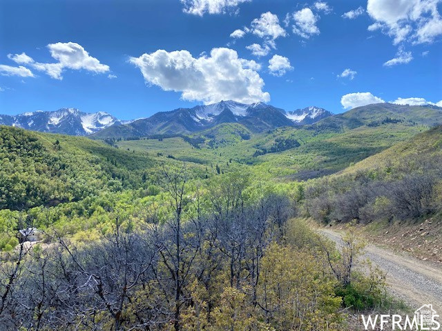 13 N HAPPY HOLLOW DR Springville, UT 84663