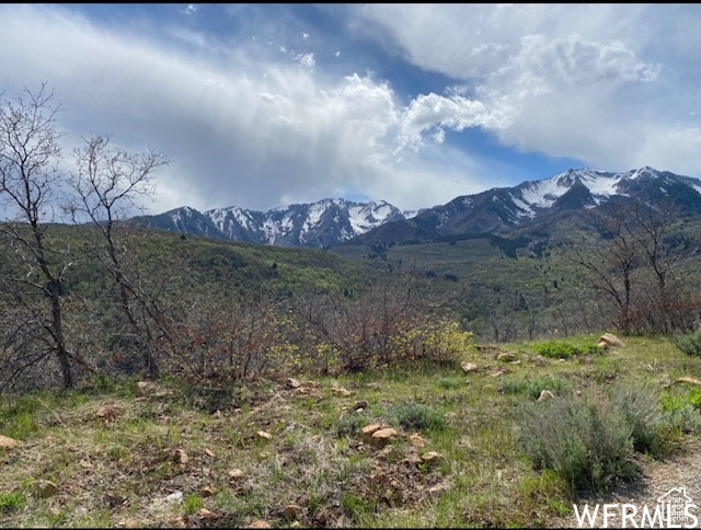 13 N HAPPY HOLLOW DR Springville, UT 84663