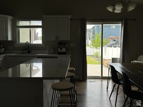 1307 E SKIP ST Eagle Mountain, UT 84005