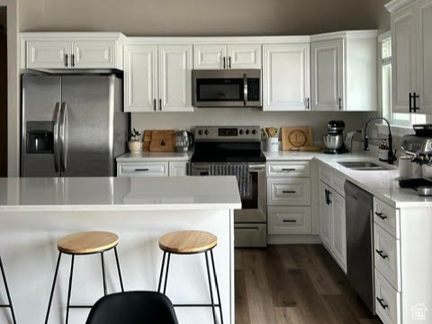 1307 E SKIP ST Eagle Mountain, UT 84005
