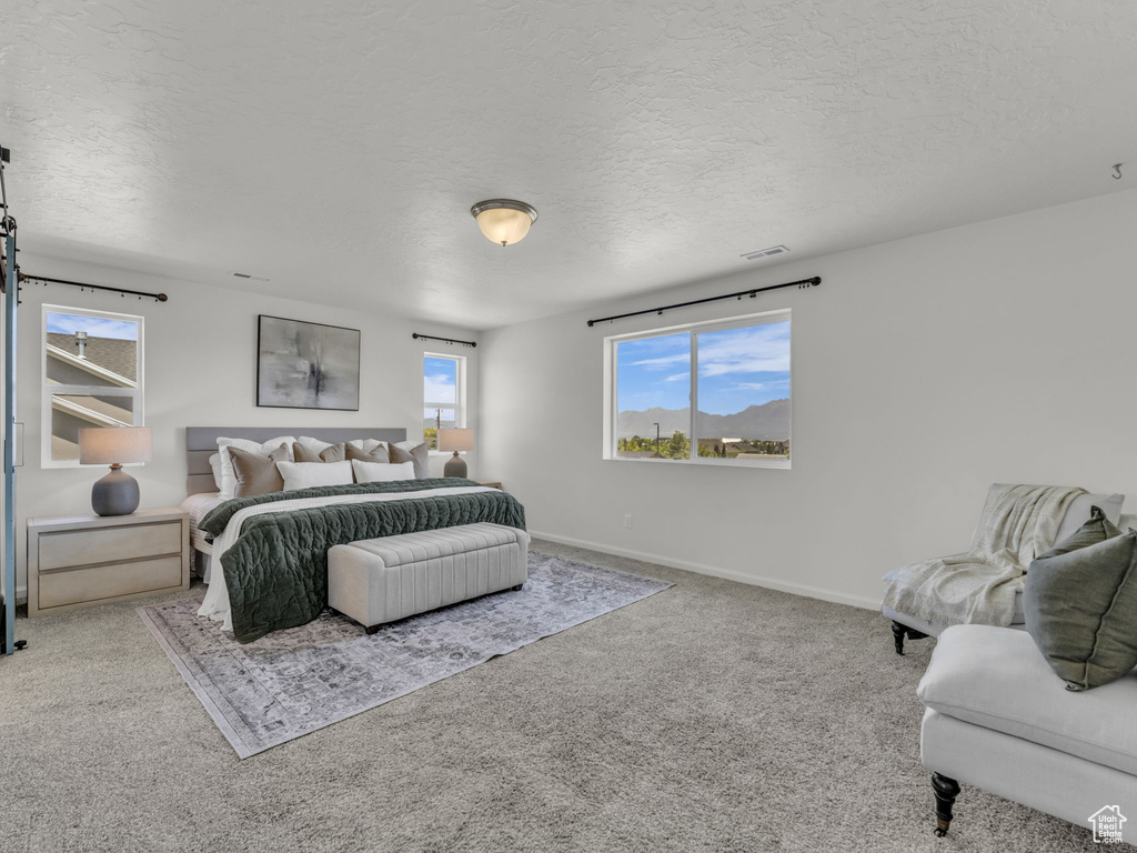 13249 S SHEARING CV Herriman, UT 84096