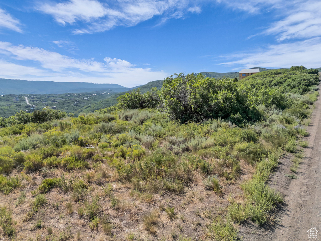 1819  RIDGE LINE DR Heber City, UT 84032