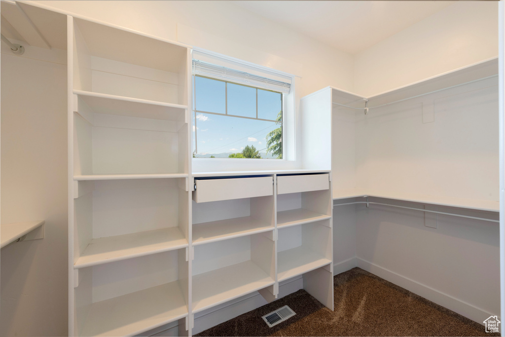 Spacious closet with carpet floors