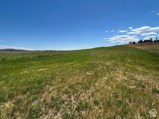 View of yard featuring a view of rural / pastoral area